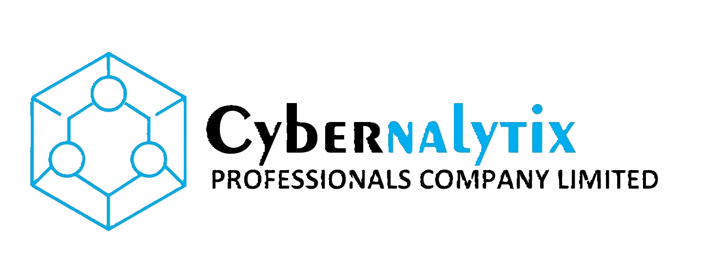 cybernalytix logo